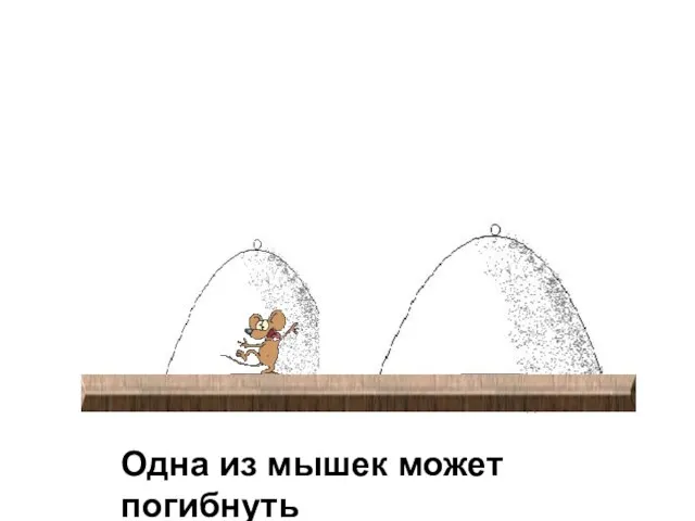 Поднимите один из колпачков. Какой колпак нужно поднять и почему. Одна из мышек может погибнуть