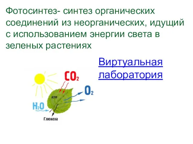 Фотосинтез- синтез органических соединений из неорганических, идущий с использованием энергии света в зеленых растениях Виртуальная лаборатория