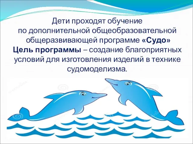 Дети проходят обучение по дополнительной общеобразовательной общеразвивающей программе «Судо» Цель программы