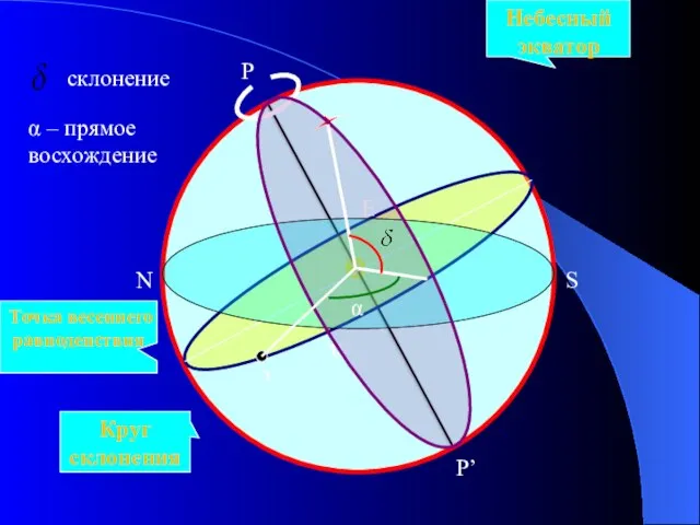P P’ Небесный экватор W E N S Круг склонения ɤ