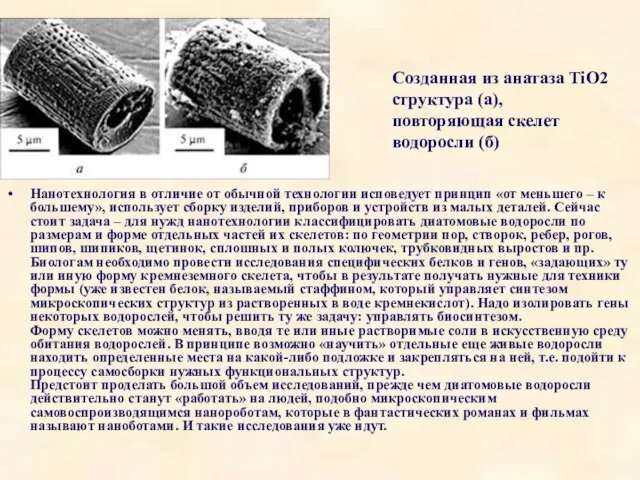 Нанотехнология в отличие от обычной технологии исповедует принцип «от меньшего –