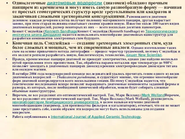 Одноклеточные диатомовые водоросли (диатомеи) обладают прочным панцирем из кремнезема и могут