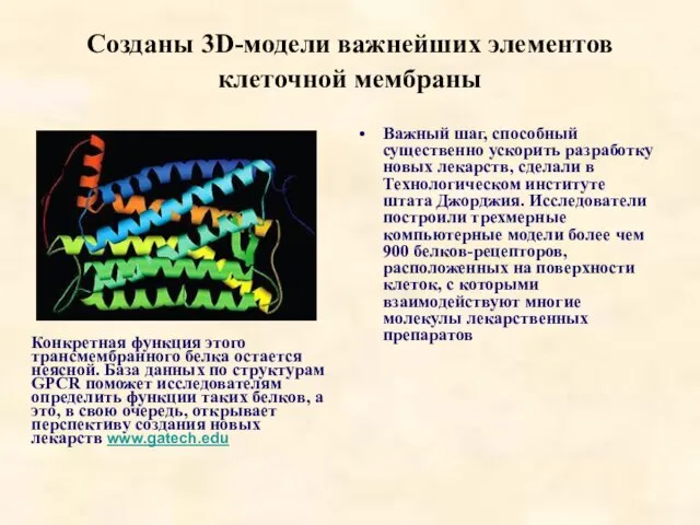 Созданы 3D-модели важнейших элементов клеточной мембраны Важный шаг, способный существенно ускорить