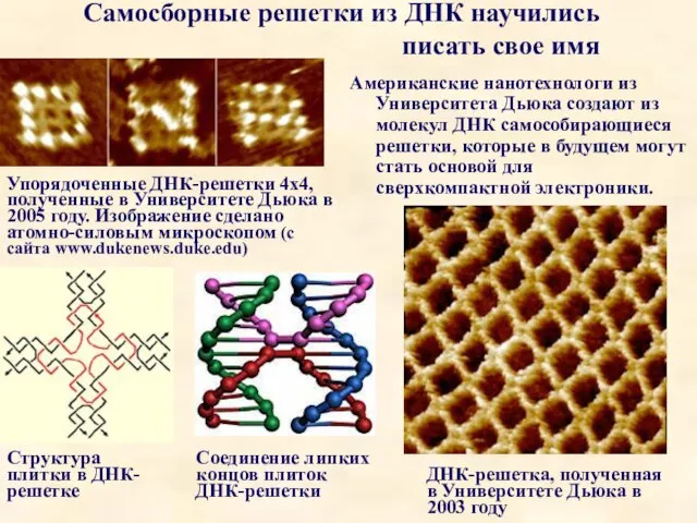 Самосборные решетки из ДНК научились писать свое имя Американские нанотехнологи из