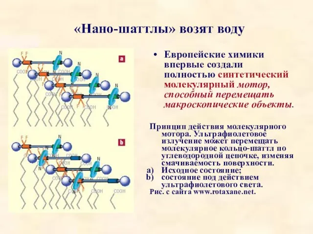 «Нано-шаттлы» возят воду Европейские химики впервые создали полностью синтетический молекулярный мотор,