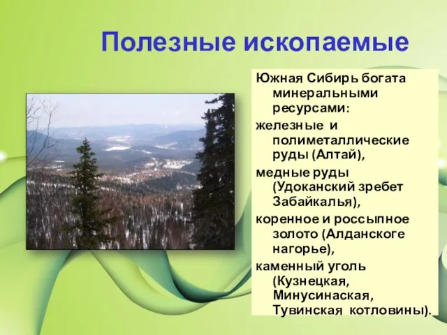 Полезные ископаемые Южная Сибирь богата минеральными ресурсами: железные и полиметаллические руды