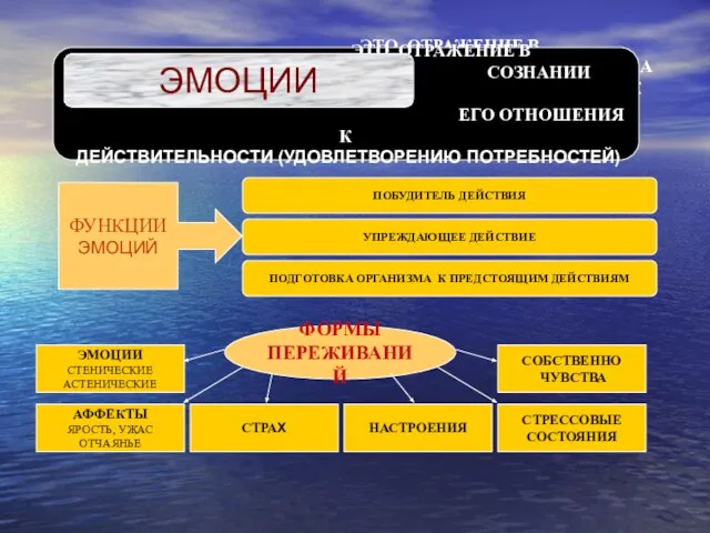 ЭТО ОТРАЖЕНИЕ В СОЗНАНИИ ЧЕЛОВЕКА ЕГО ОТНОШЕНИЯ К ДЕЙСТВИТЕЛЬНОСТИ (УДОВЛЕТВОРЕНИЮ ПОТРЕБНОСТЕЙ)