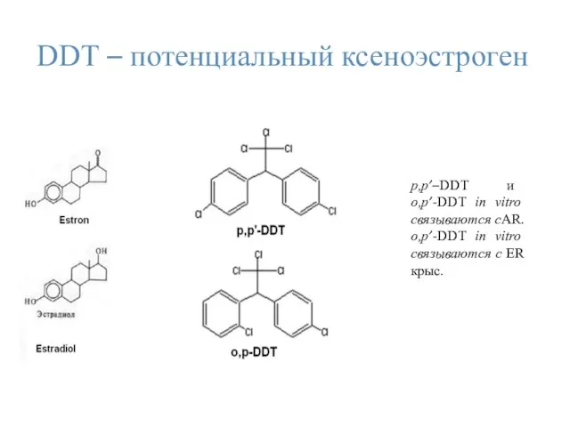 DDТ – потенциальный ксеноэстроген p,p’–DDT и о,p’-DDT in vitro связываются сAR.