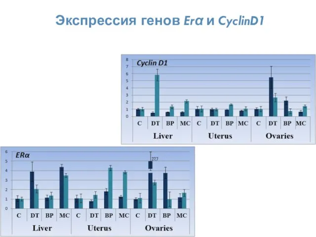 Экспрессия генов Erα и CyclinD1