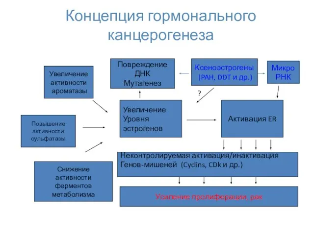 Концепция гормонального канцерогенеза Увеличение активности ароматазы Увеличение Уровня эстрогенов Снижение активности