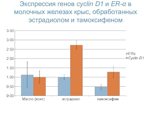 Экспрессия генов cyclin D1 и ER-α в молочных железах крыс, обработанных эстрадиолом и тамоксифеном