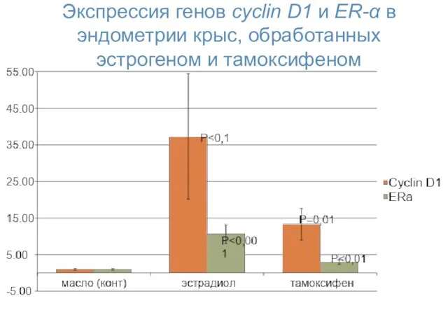 Экспрессия генов cyclin D1 и ER-α в эндометрии крыс, обработанных эстрогеном и тамоксифеном