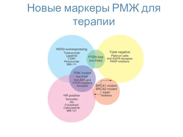 Новые маркеры РМЖ для терапии