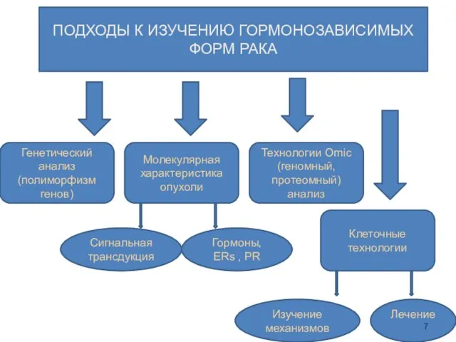 ПОДХОДЫ К ИЗУЧЕНИЮ ГОРМОНОЗАВИСИМЫХ ФОРМ РАКА Генетический анализ (полиморфизм генов) Молекулярная