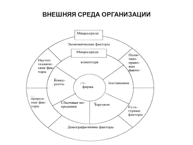 ВНЕШНЯЯ СРЕДА ОРГАНИЗАЦИИ