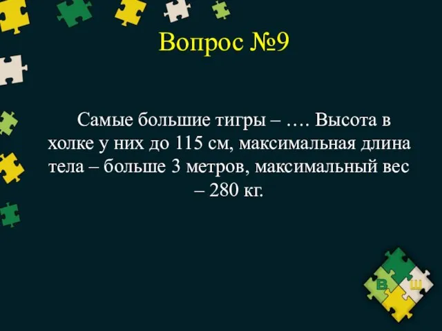 Вопрос №9 Самые большие тигры – …. Высота в холке у