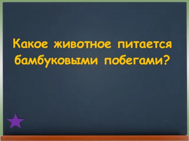 Какое животное питается бамбуковыми побегами?