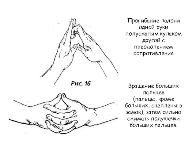 Прогибание ладони одной руки полусжатым кулаком другой с преодолением сопротивления Вращение