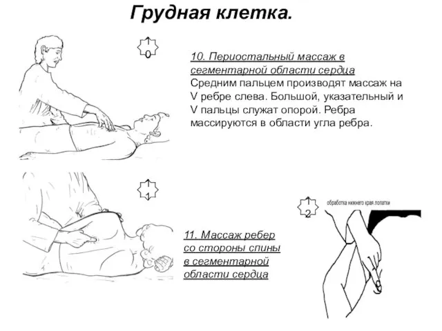 Грудная клетка. 10. Периостальный массаж в сегментарной области сердца Средним пальцем