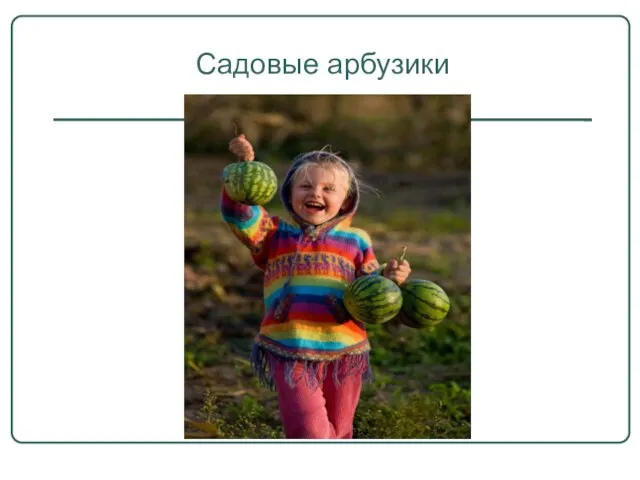 Садовые арбузики