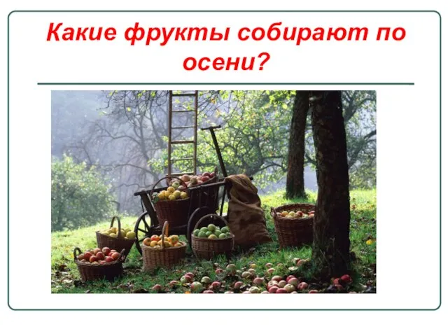 Какие фрукты собирают по осени?