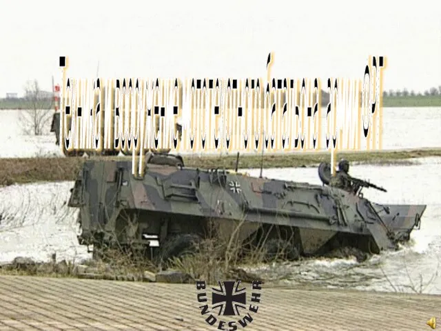 Техника и вооружение мотопехотного батальона армии ФРГ