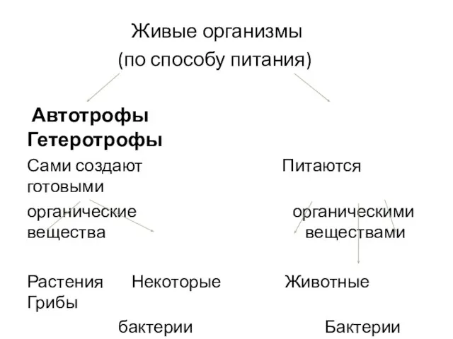 Живые организмы (по способу питания) Автотрофы Гетеротрофы Сами создают Питаются готовыми