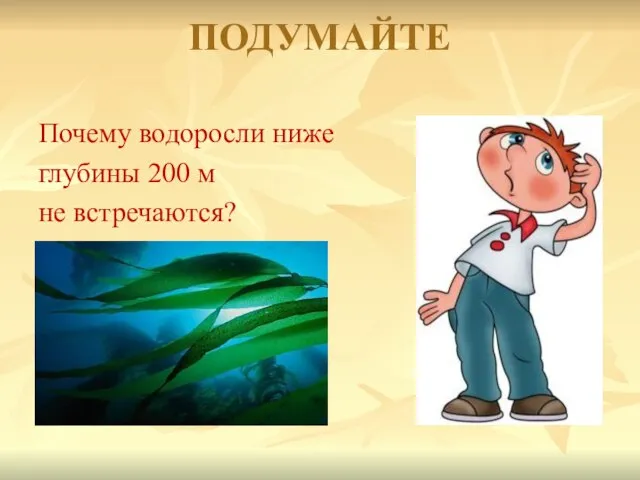 ПОДУМАЙТЕ Почему водоросли ниже глубины 200 м не встречаются?