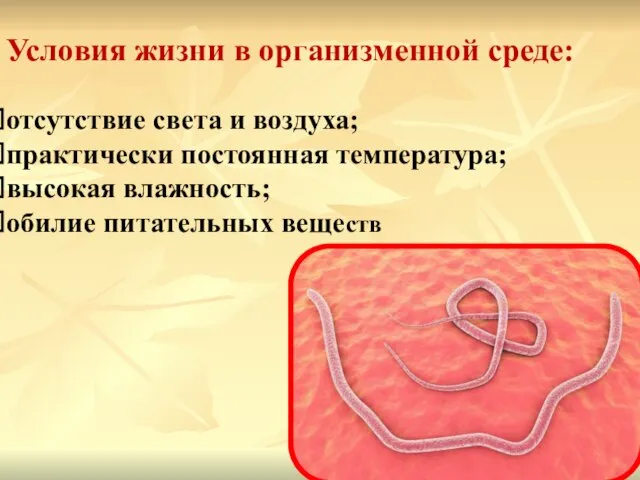 Условия жизни в организменной среде: отсутствие света и воздуха; практически постоянная