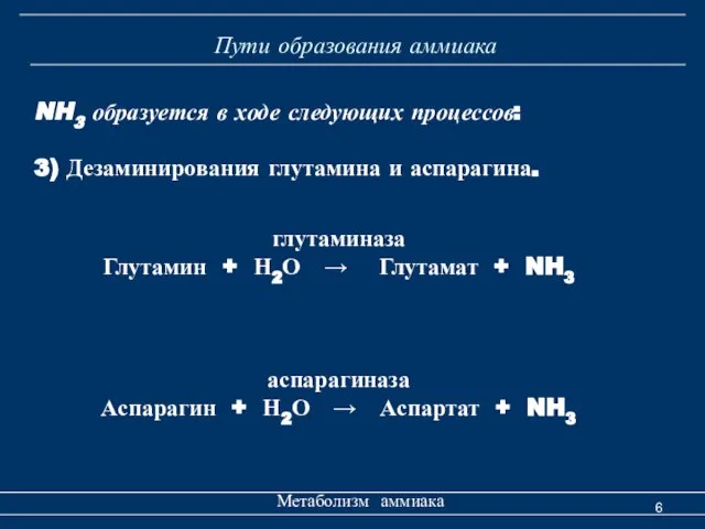 Пути образования аммиака Метаболизм аммиака NH3 образуется в ходе следующих процессов: