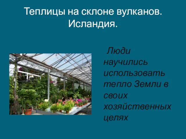 Теплицы на склоне вулканов. Исландия. Люди научились использовать тепло Земли в своих хозяйственных целях