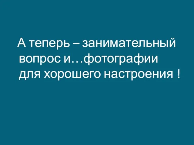 А теперь – занимательный вопрос и…фотографии для хорошего настроения !