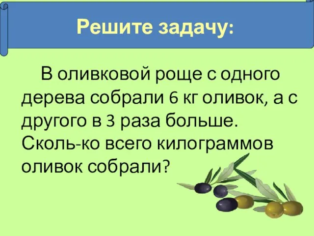 В оливковой роще с одного дерева собрали 6 кг оливок, а