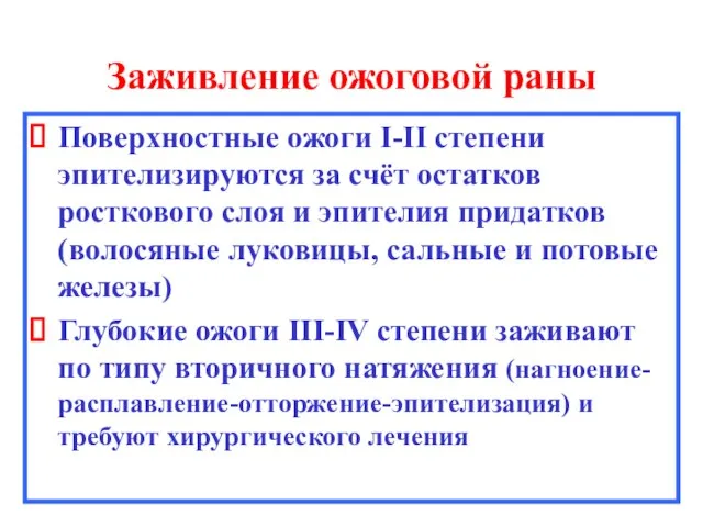 Заживление ожоговой раны Поверхностные ожоги I-II степени эпителизируются за счёт остатков