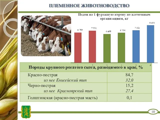 ПЛЕМЕННОЕ ЖИВОТНОВОДСТВО 10