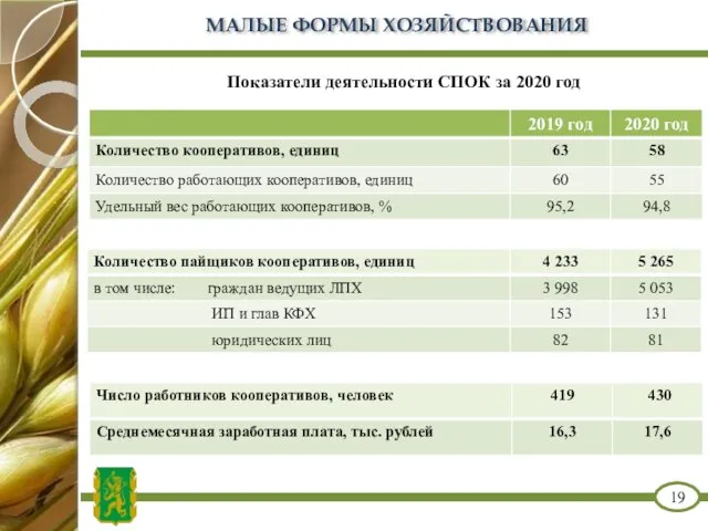 Показатели деятельности СПОК за 2020 год 19 МАЛЫЕ ФОРМЫ ХОЗЯЙСТВОВАНИЯ