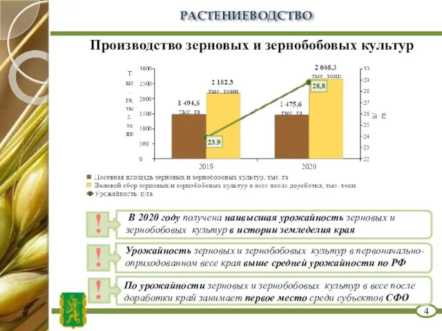 РАСТЕНИЕВОДСТВО 4 ! В 2020 году получена наивысшая урожайность зерновых и