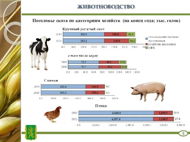 ЖИВОТНОВОДСТВО Поголовье скота по категориям хозяйств (на конец года; тыс. голов) 8