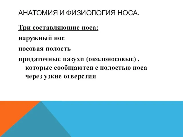 АНАТОМИЯ И ФИЗИОЛОГИЯ НОСА. Три составляющие носа: наружный нос носовая полость