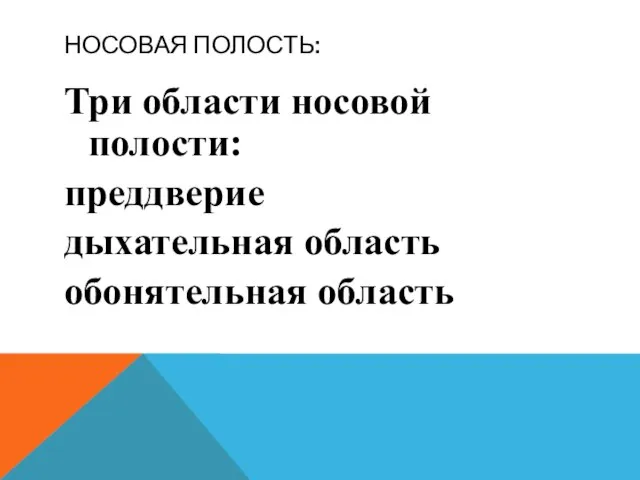 НОСОВАЯ ПОЛОСТЬ: Три области носовой полости: преддверие дыхательная область обонятельная область