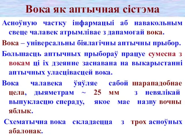 Вока як аптычная сістэма Асноўную частку інфармацыі аб навакольным свеце чалавек