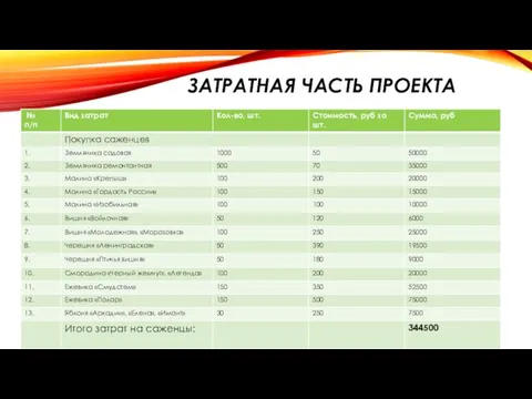 ЗАТРАТНАЯ ЧАСТЬ ПРОЕКТА