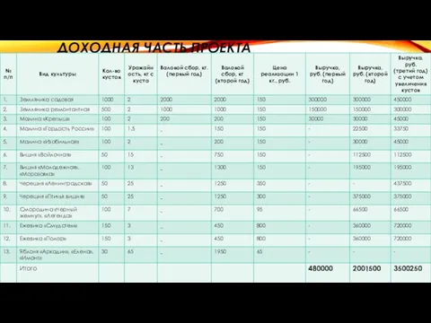 ДОХОДНАЯ ЧАСТЬ ПРОЕКТА