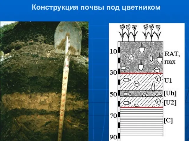 Конструкция почвы под цветником