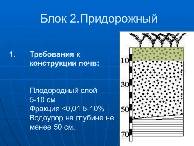 Блок 2.Придорожный Требования к конструкции почв: Плодородный слой 5-10 см Фракция