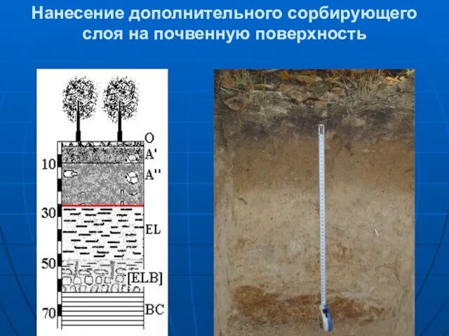 Нанесение дополнительного сорбирующего слоя на почвенную поверхность