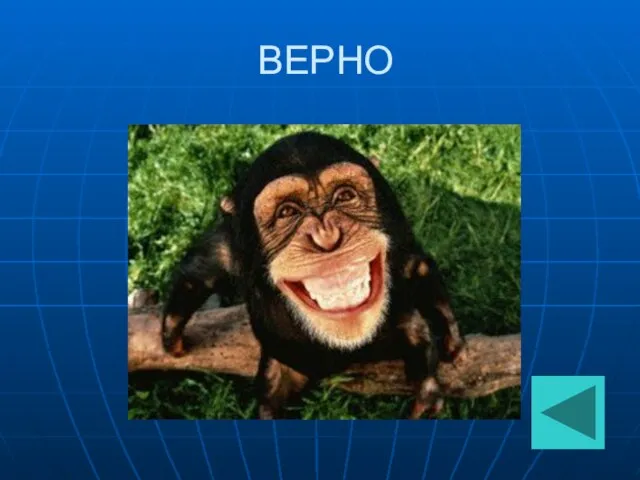 ВЕРНО