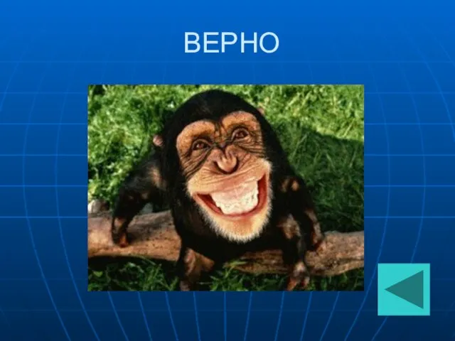 ВЕРНО