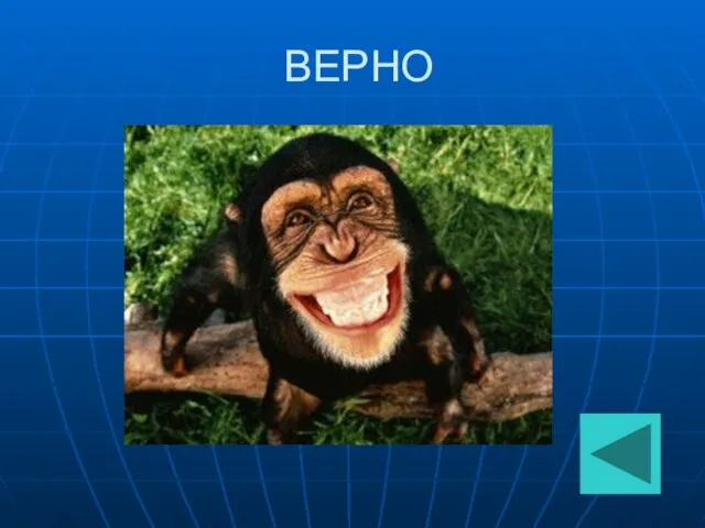 ВЕРНО