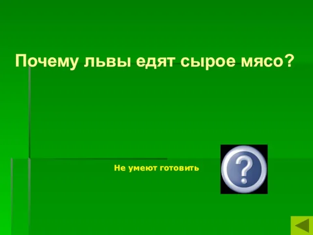 Почему львы едят сырое мясо? Не умеют готовить